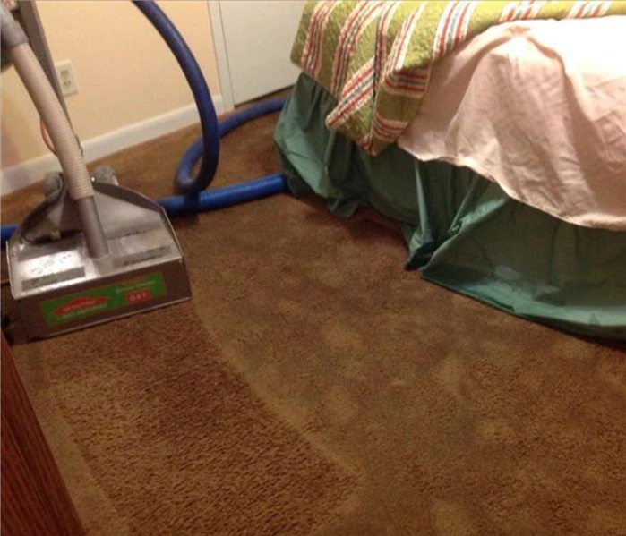 Carpet cleaning with vacuum in bedroom