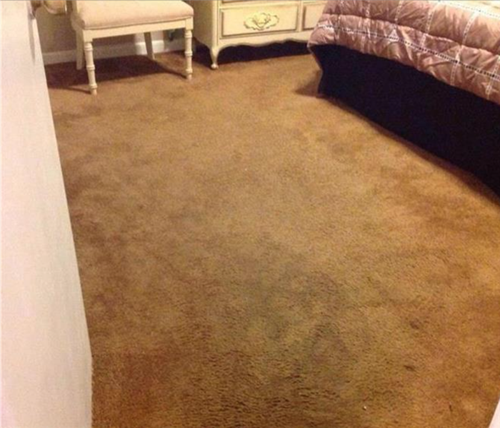Dry carpet in bedroom