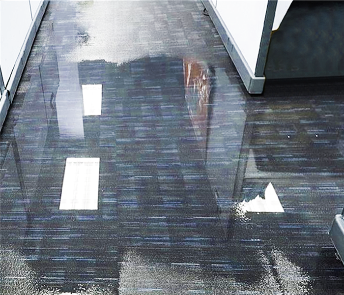 office carpet water damage in dothan